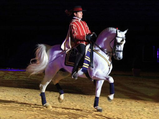 Los murcianos disfrutaron del espectáculo Pasión y Duende del Caballo Andaluz