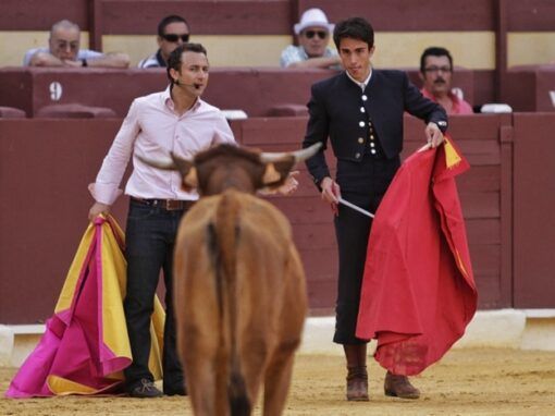 Un tentadero muy didáctico en la plaza de toros de Murcia