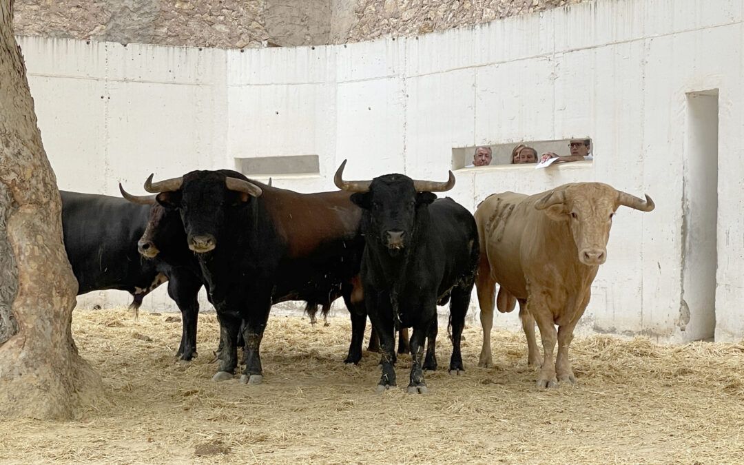 Orden de lidia de los toros de Núñez del Cuvillo