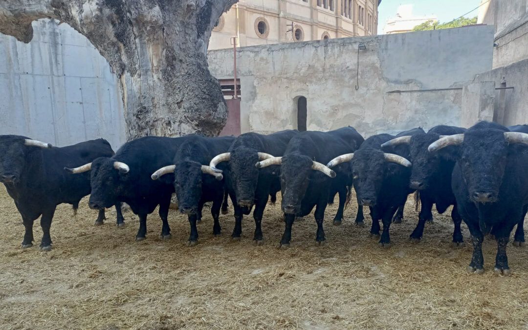 Orden de lidia de los toros de Los Espartales